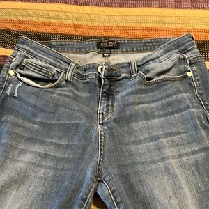 Judy Blue slim fit, heavily distressed. Size 15/32.